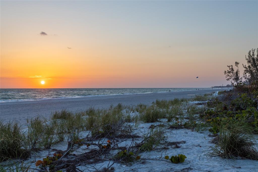 560 Gulf Bay Road Longboat Key, FL 34228 - Photo 35 of 38 a view of a backyard with green space