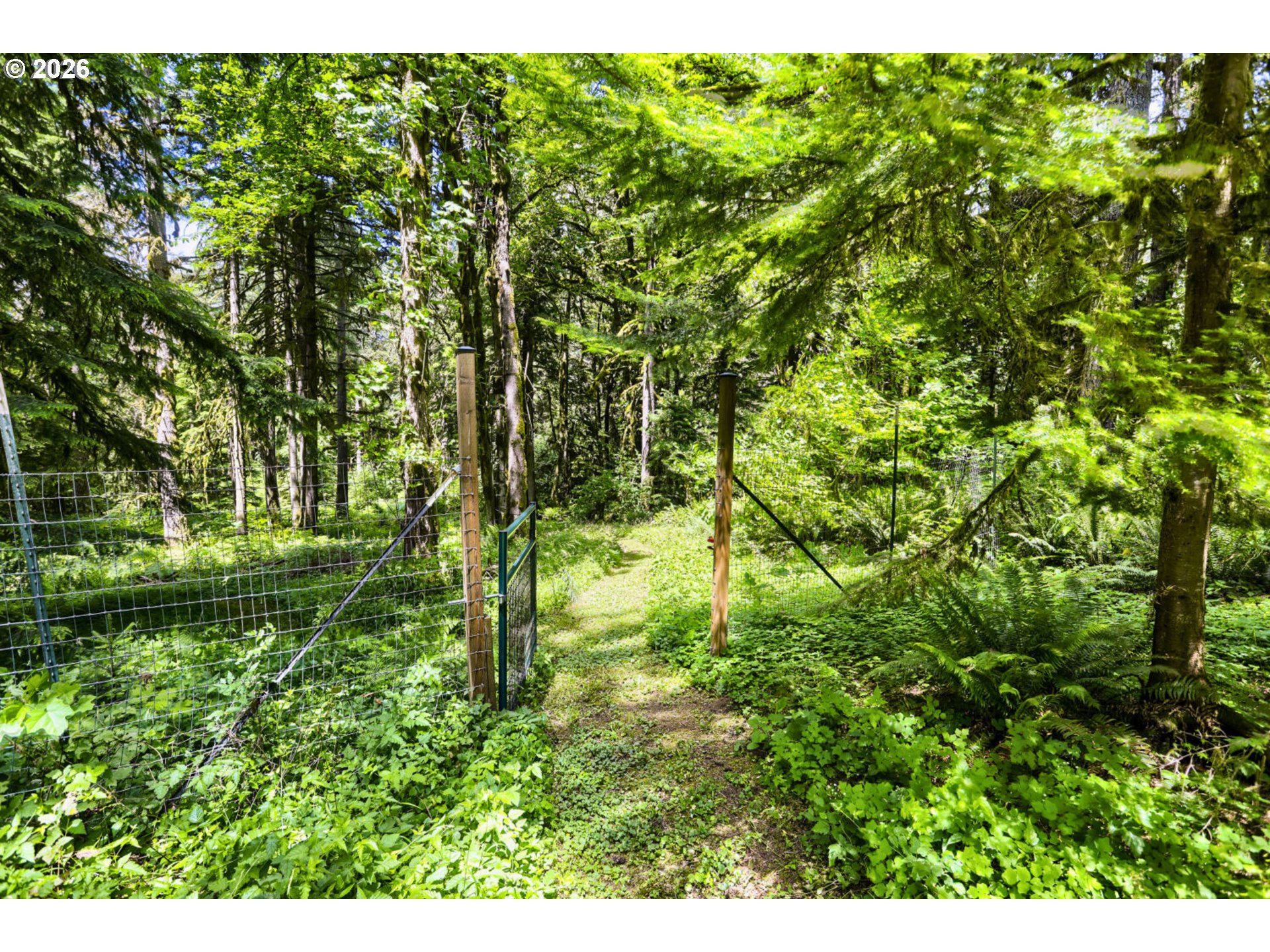 39105 Southeast Gordon Creek Road Corbett, OR 97019 - Photo 30 of 38
