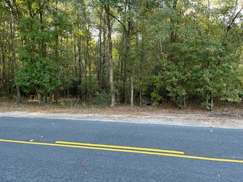0 Murph Mill Road St. Matthews, SC 29135 - Photo 3 of 3 Photo 3