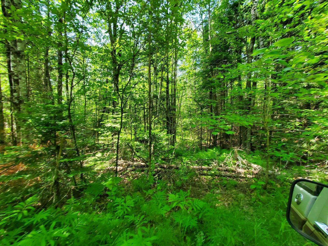 0 Morgan Road Burnham, ME 04922 - Photo 42 of 69 20250617_124306