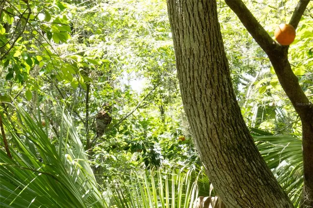 $359,900 | 2634 Cr 416n Lake, Lake Panasoffkee, FL 33538