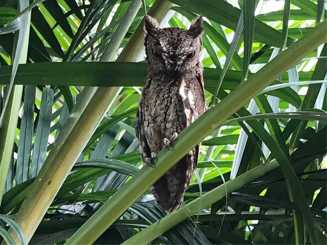 $359,900 | 2634 Cr 416n Lake, Lake Panasoffkee, FL 33538