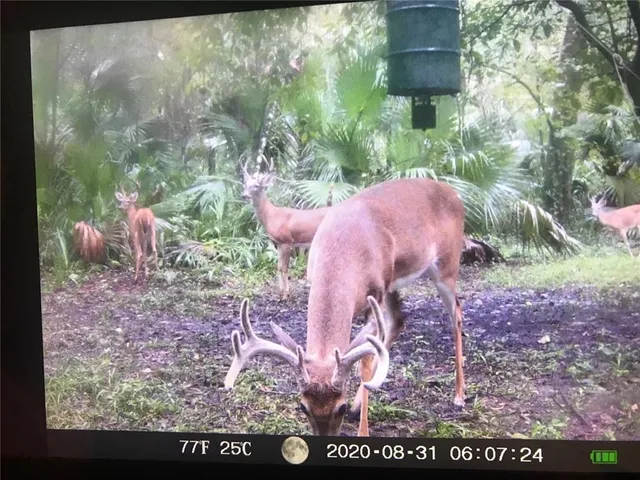 $359,900 | 2634 Cr 416n Lake, Lake Panasoffkee, FL 33538