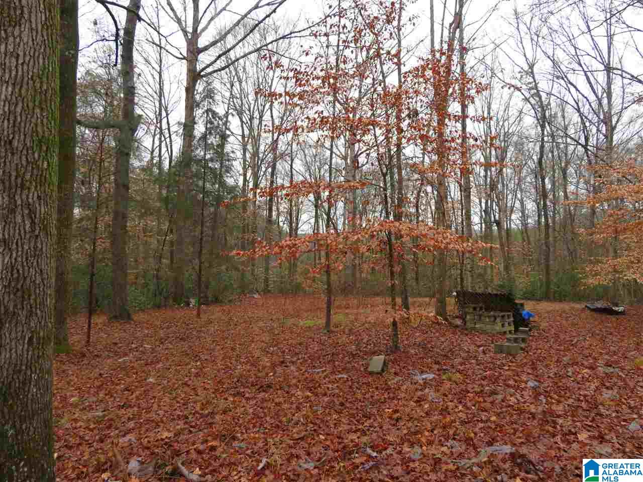 138 Cedar Grove Road West Blocton, AL 35184 - Photo 21 of 44
