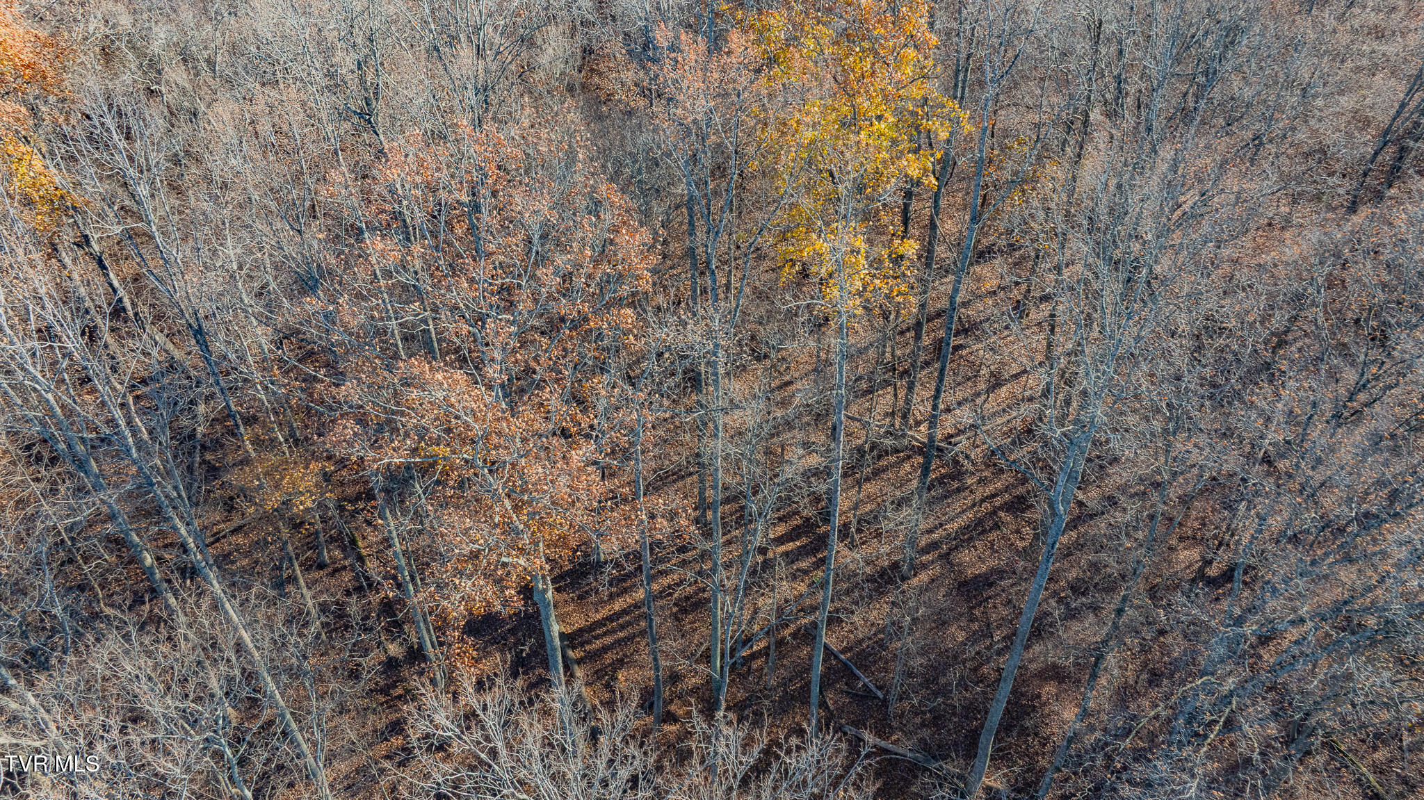 642 Copper Ridge Road Eidson, TN 37731 - Photo 36 of 41 dji_fly_20251117_145310_0580_17634096629