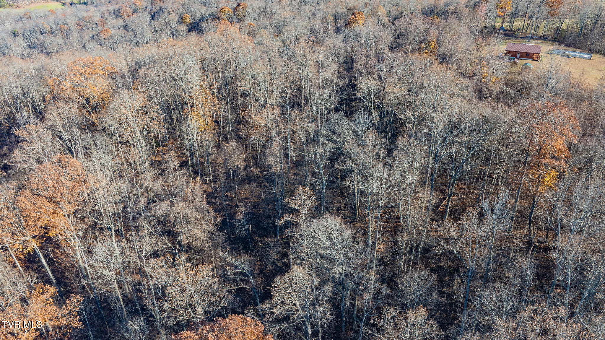 642 Copper Ridge Road Eidson, TN 37731 - Photo 37 of 41 dji_fly_20251117_145258_0577_17634096639