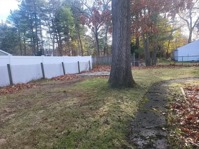 a view of a yard with a tree