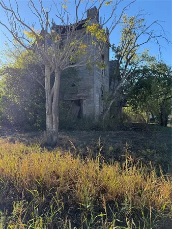 a view of a yard with plants