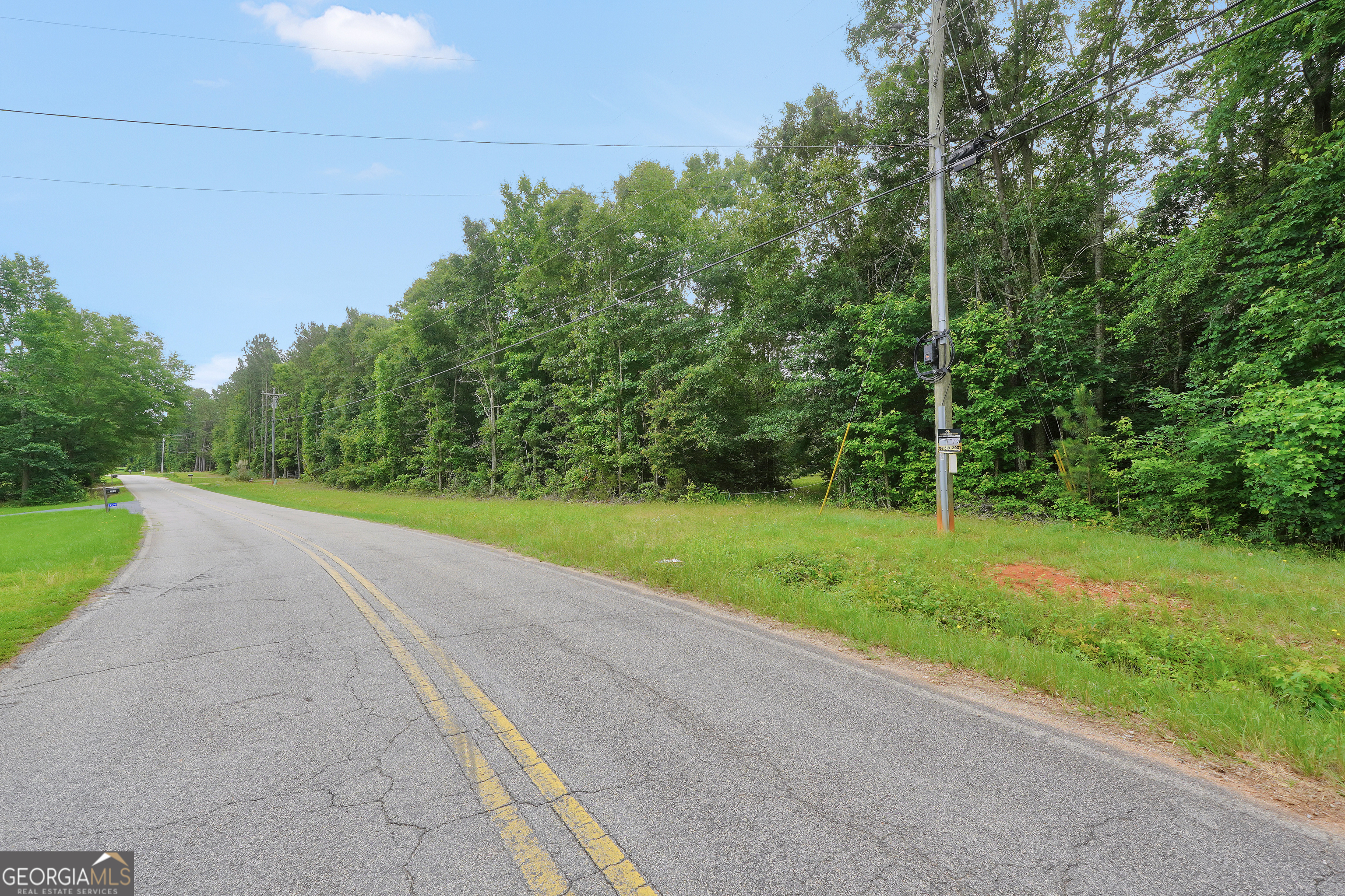 0 Cannafax Road Barnesville, GA 30204 - Photo 9 of 10