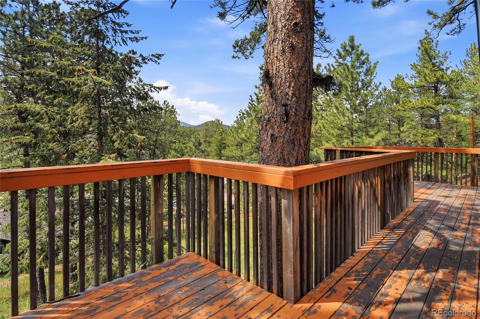 5091 South Olive Road Evergreen, CO 80439 - Photo 23 of 33