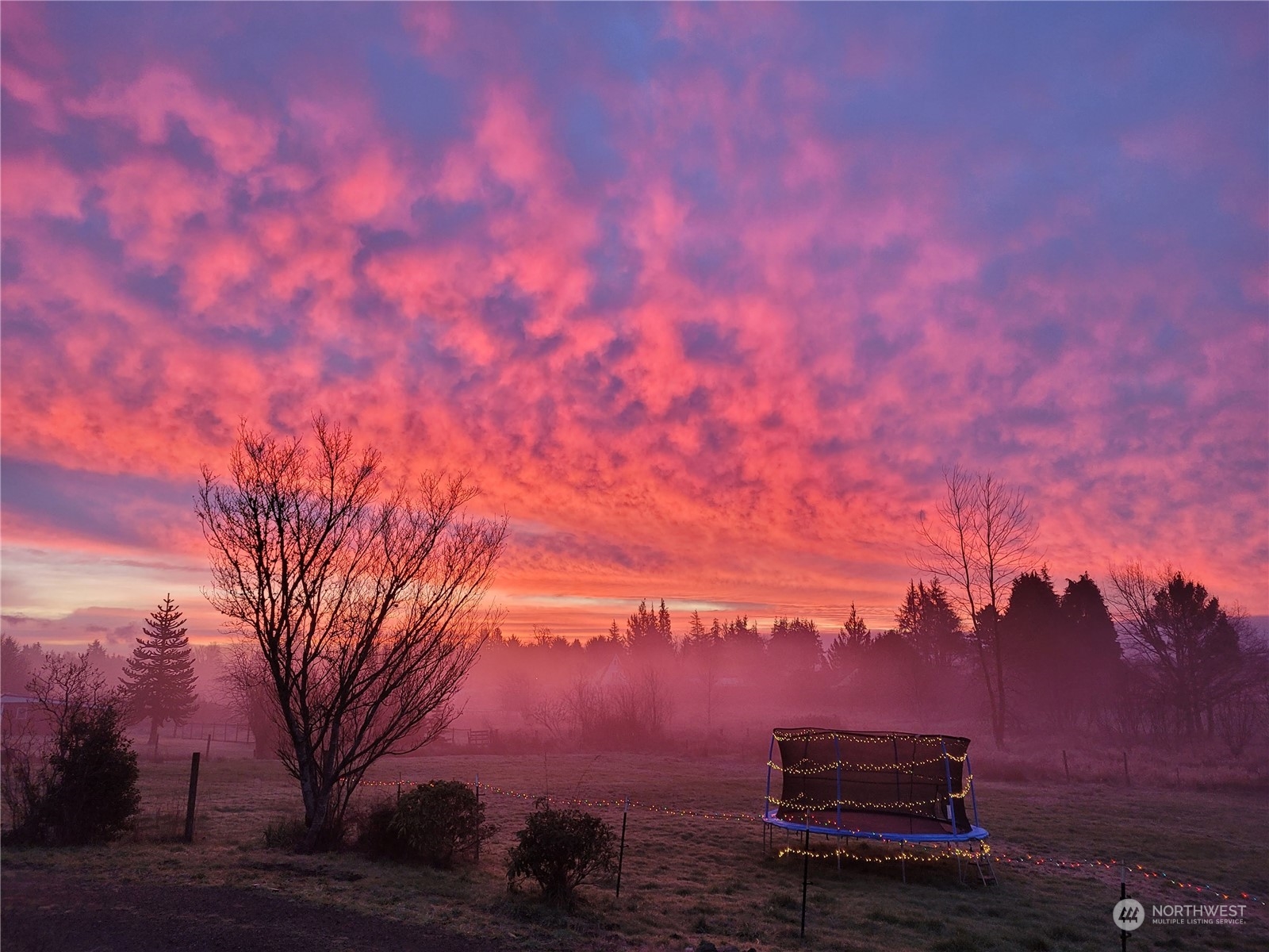 70 Camp Creek Road Montesano, WA 98563 - Photo 30 of 31 Gallery Image 30