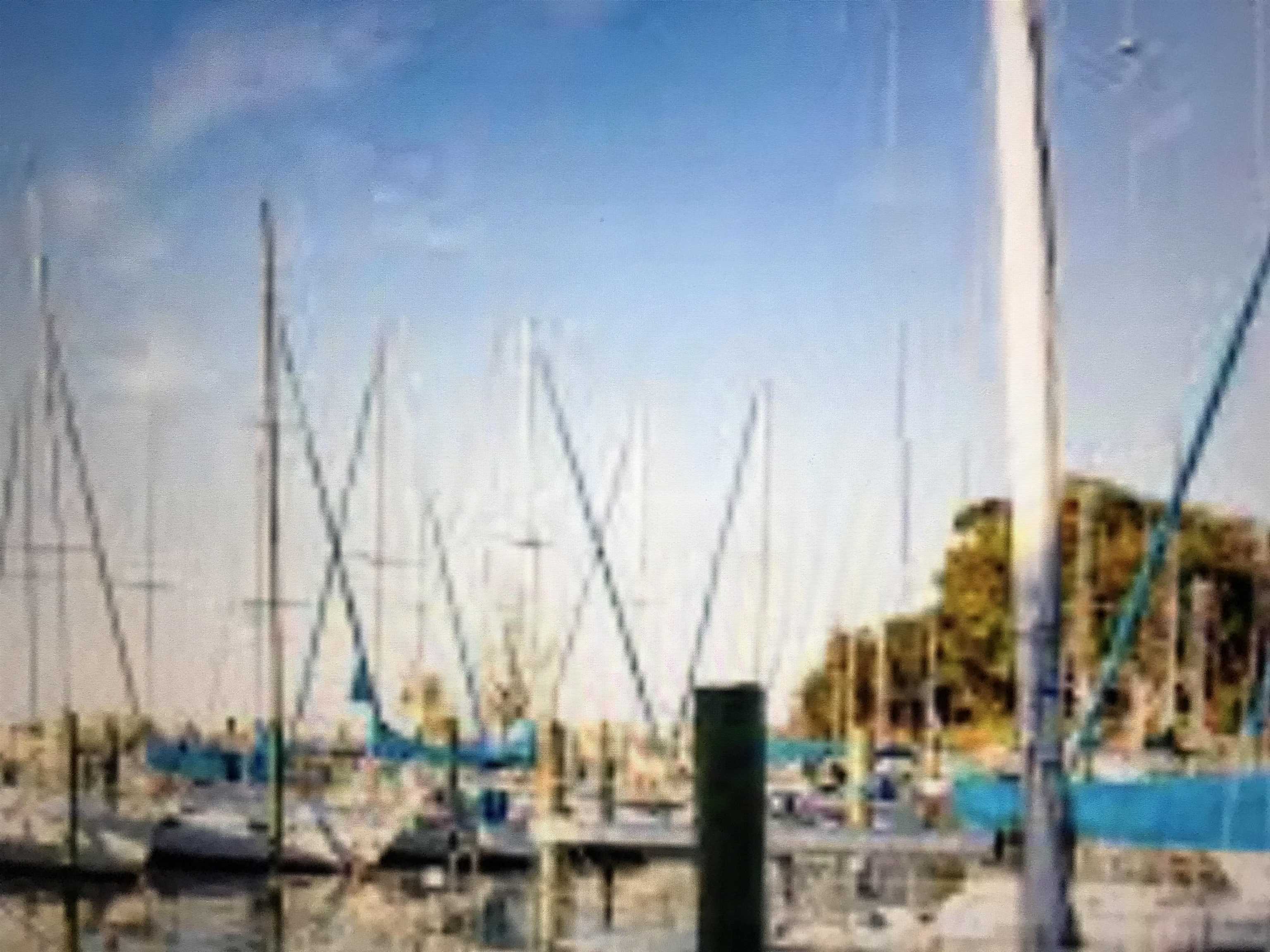 0 Point Clear Court Fairhope, AL 36532 - Photo 22 of 28 Fairhope Marina