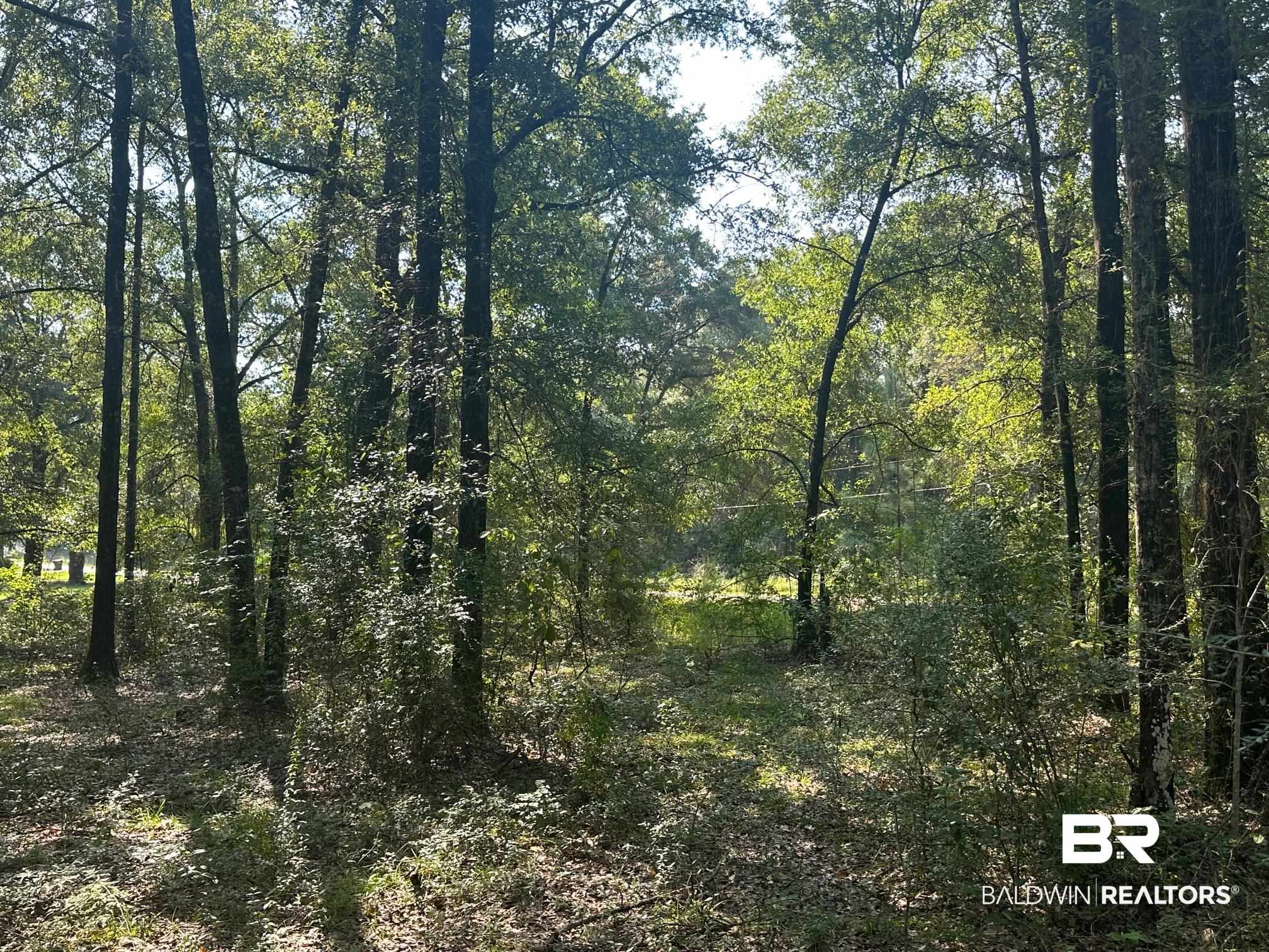 0 Danner Road East Wilmer, AL 36587 - Photo 8 of 13 View of wooded area