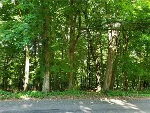 a pathway of a yard