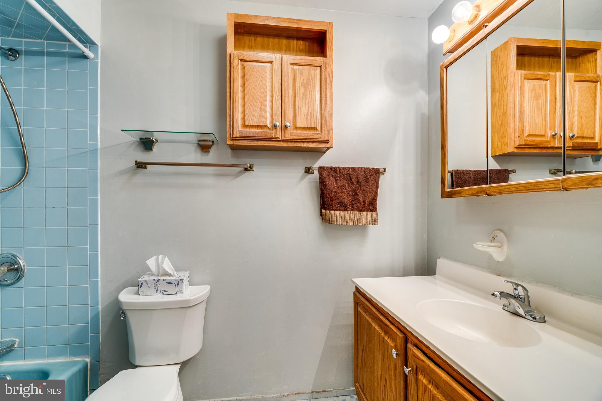 16 Brooktree Road East Windsor, NJ 08520 - Photo 10 of 29 Common full bath