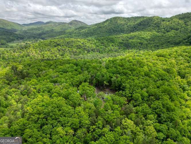 478 Flat Top Road, Unit 6 Young Harris, GA 30582 - Photo 24 of 70 a view of a lush green forest with lots of trees