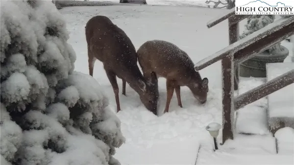 $319,900 | 101 Courtside Lane, Unit A2, Beech Mountain, NC 28604