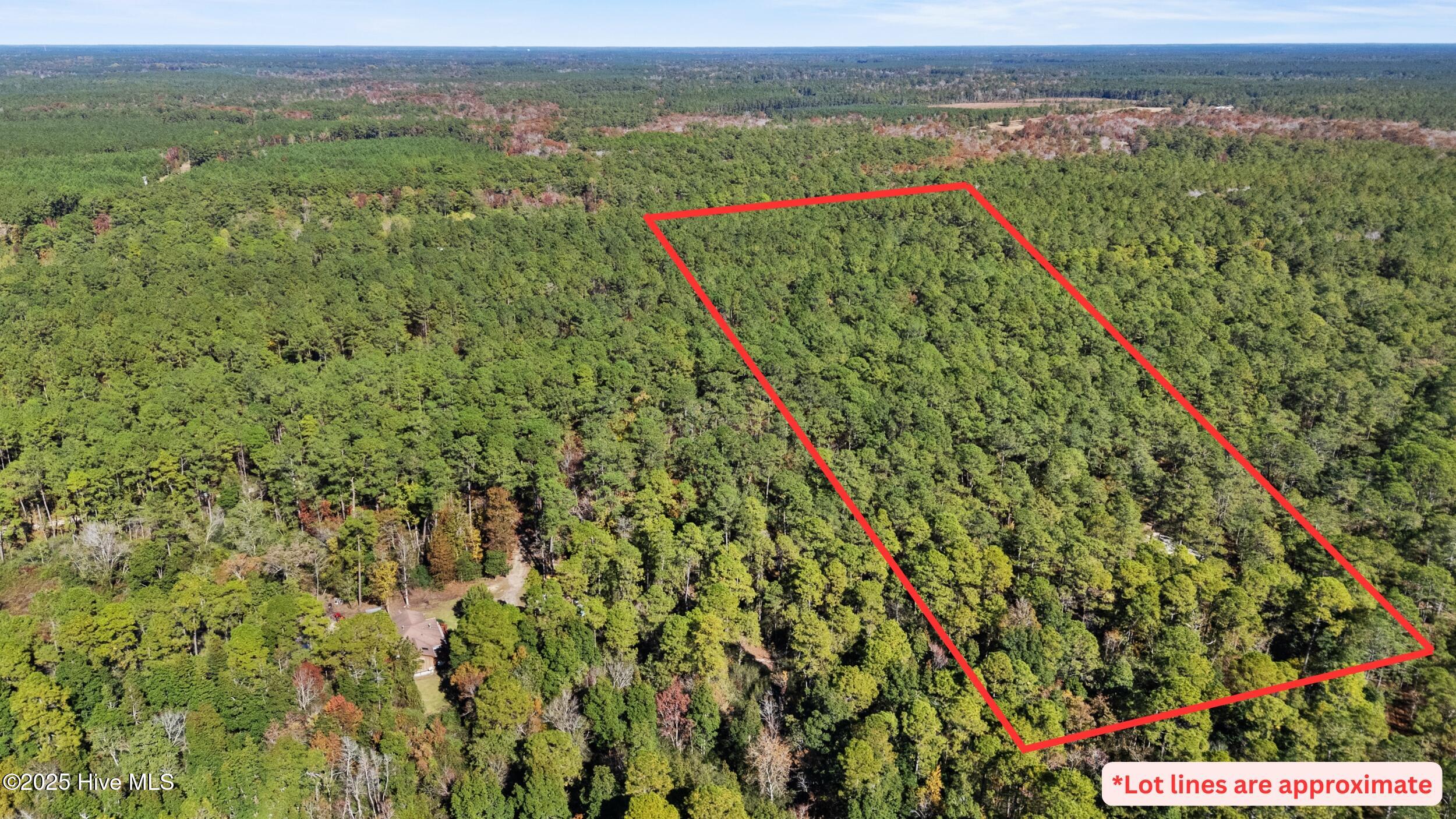 3 Lacers Way Currie, NC 28435 - Photo 11 of 12 Lacers Way Lot Lines