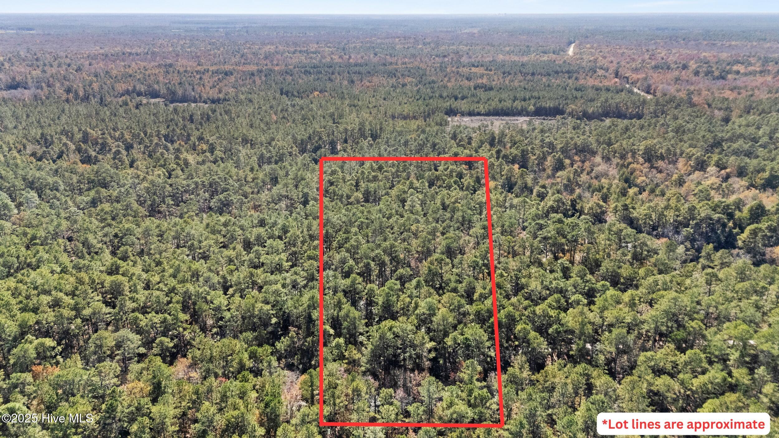 3 Lacers Way Currie, NC 28435 - Photo 12 of 12 Lot lines are approximate