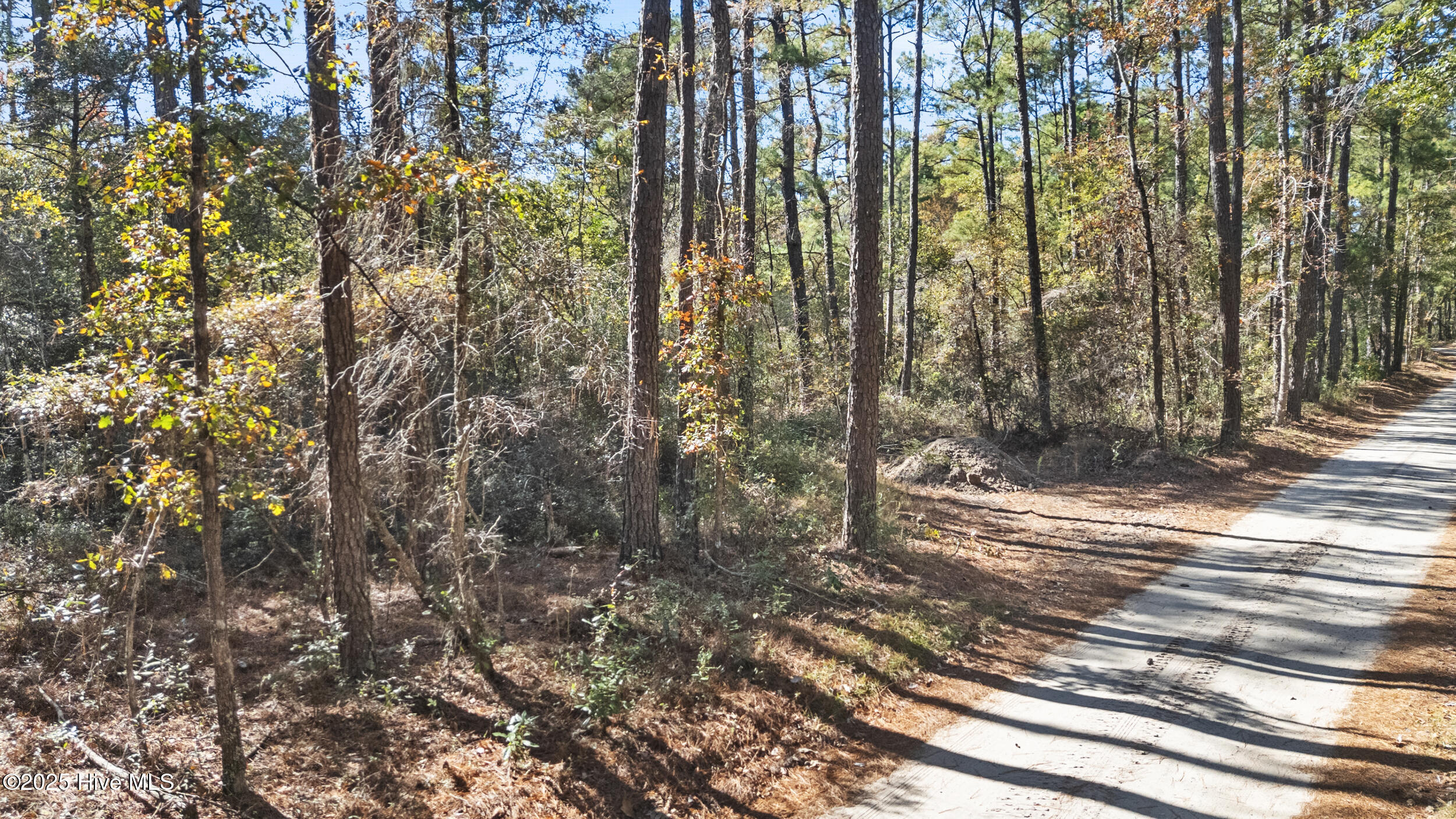3 Lacers Way Currie, NC 28435 - Photo 2 of 12 Drone (3)