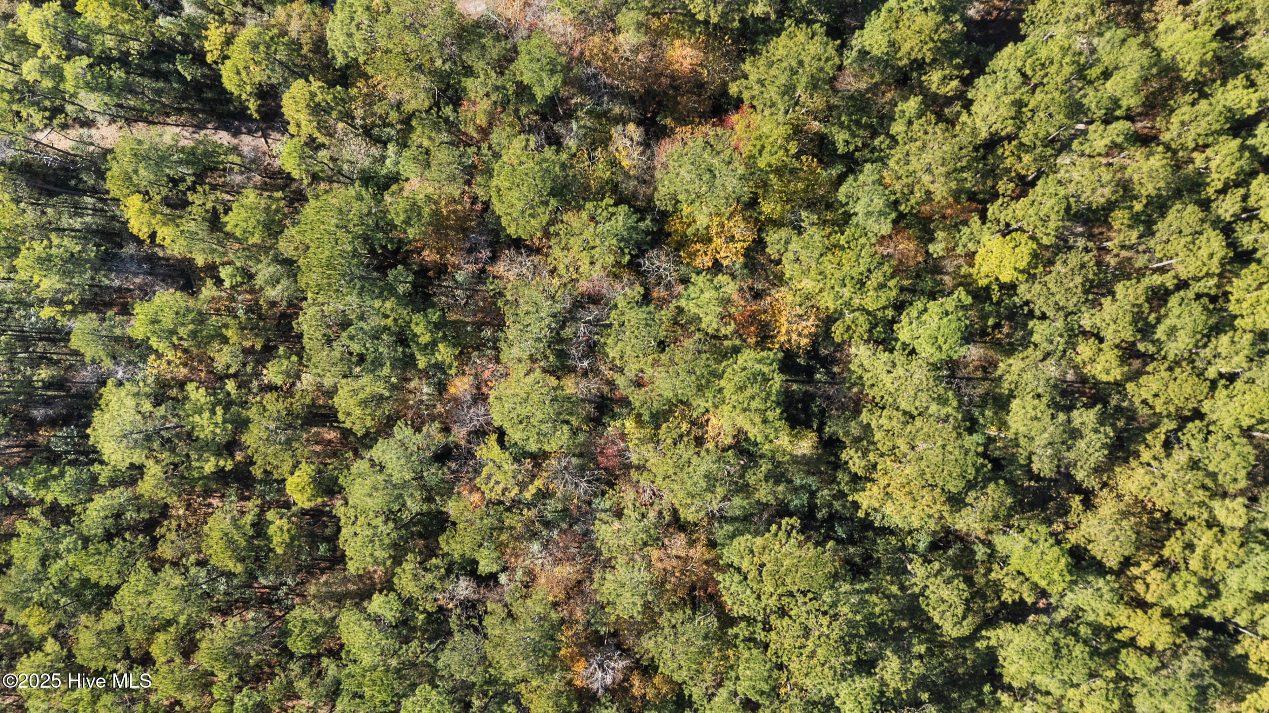 3 Lacers Way Currie, NC 28435 - Photo 3 of 12 Drone (4)