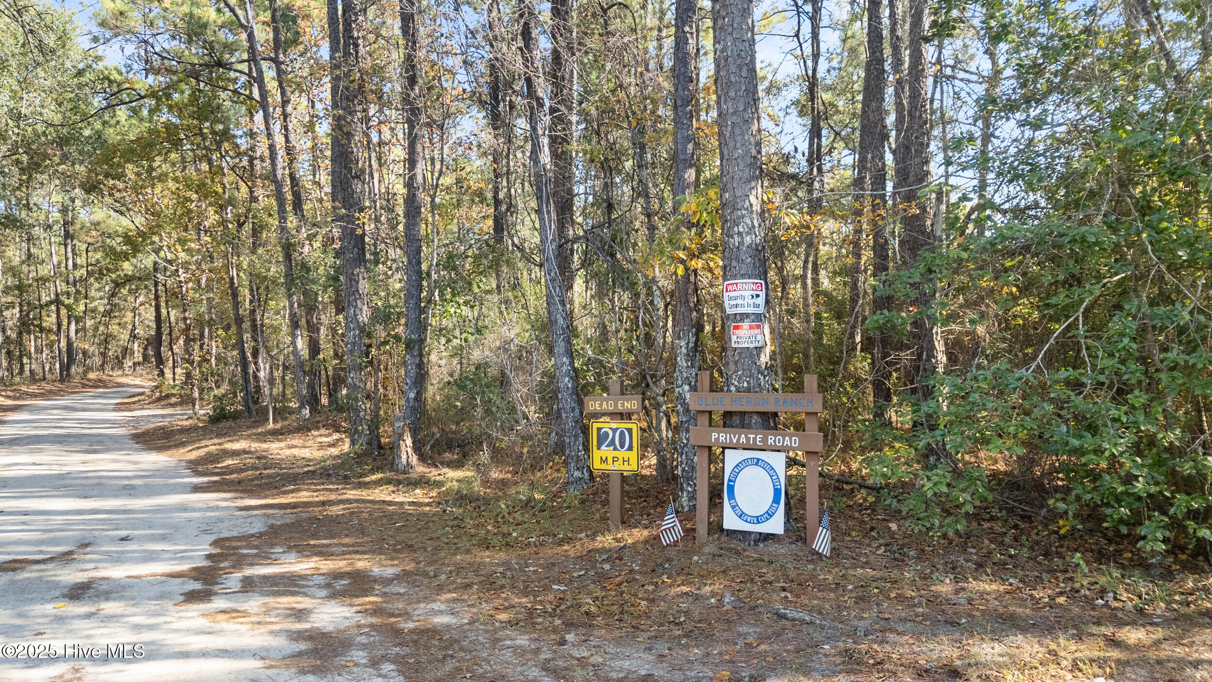 3 Lacers Way Currie, NC 28435 - Photo 4 of 12 Road sign