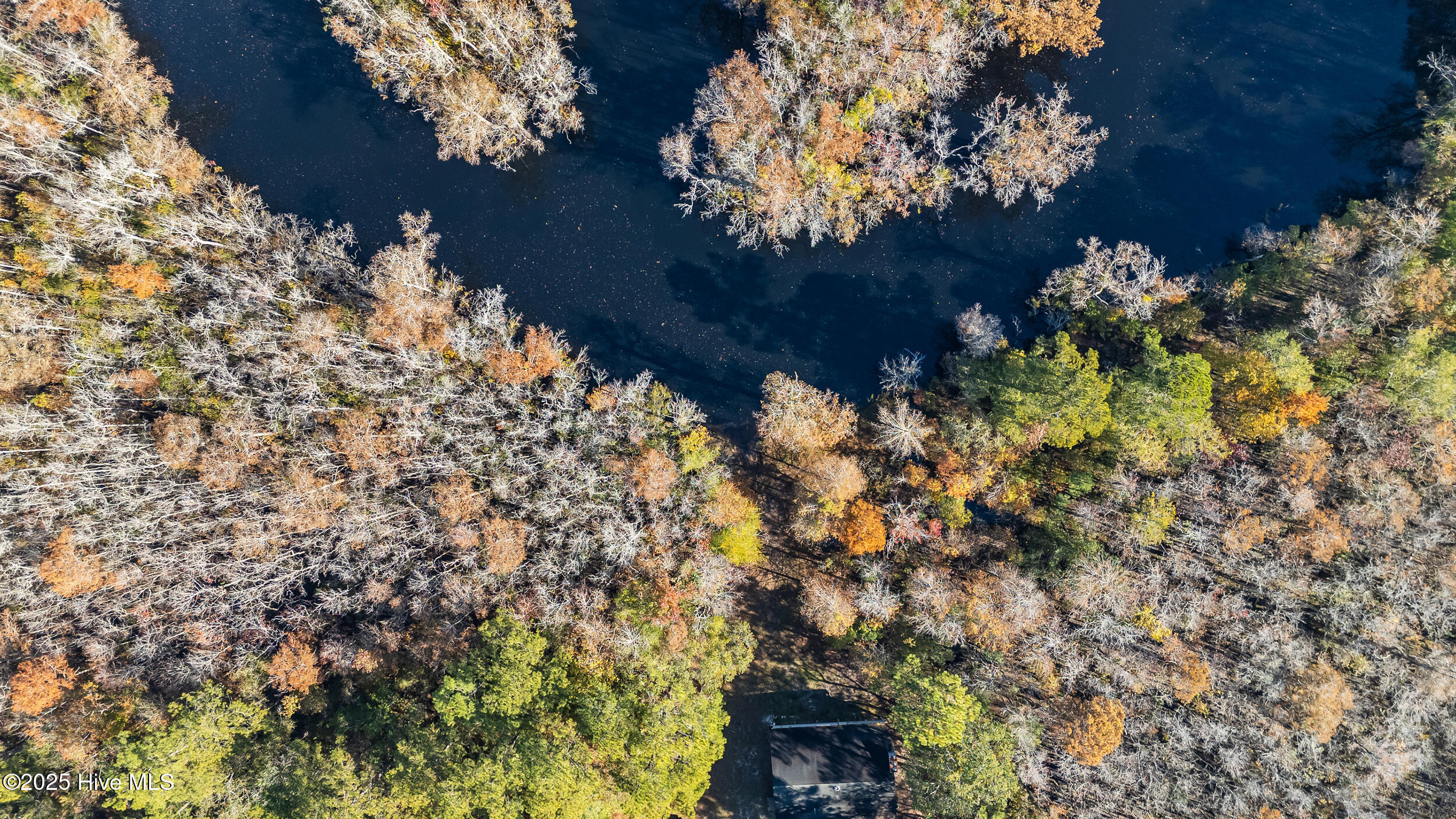 3 Lacers Way Currie, NC 28435 - Photo 6 of 12 River _ Cabin (3)