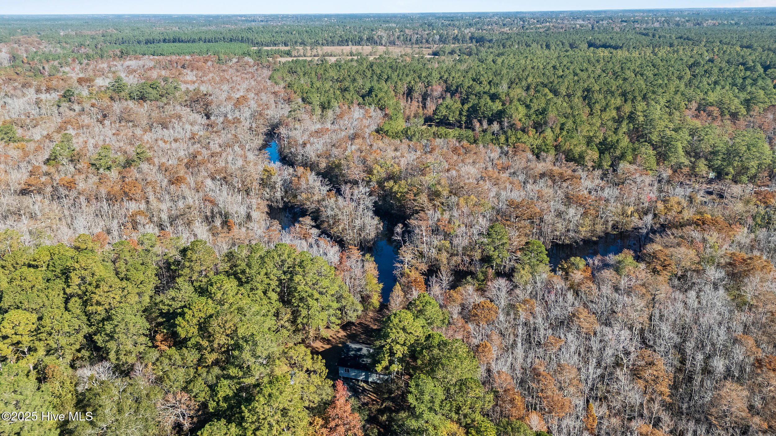 3 Lacers Way Currie, NC 28435 - Photo 9 of 12 River _ Cabin (1)