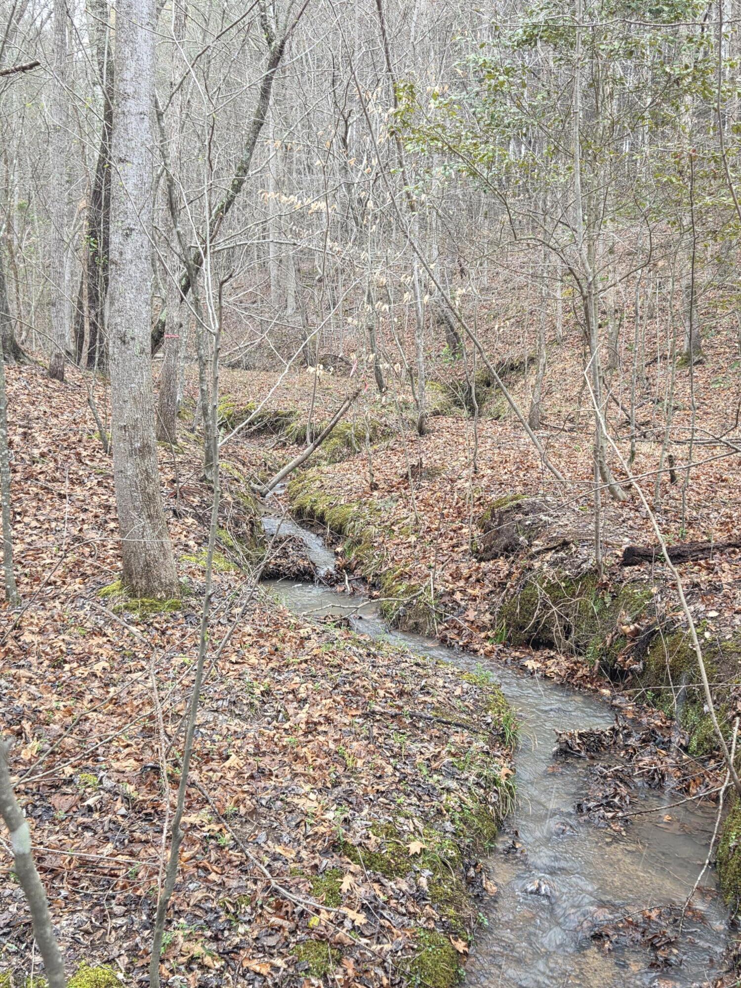 375 County Road 184 Athens, TN 37303 - Photo 23 of 25 1000021822