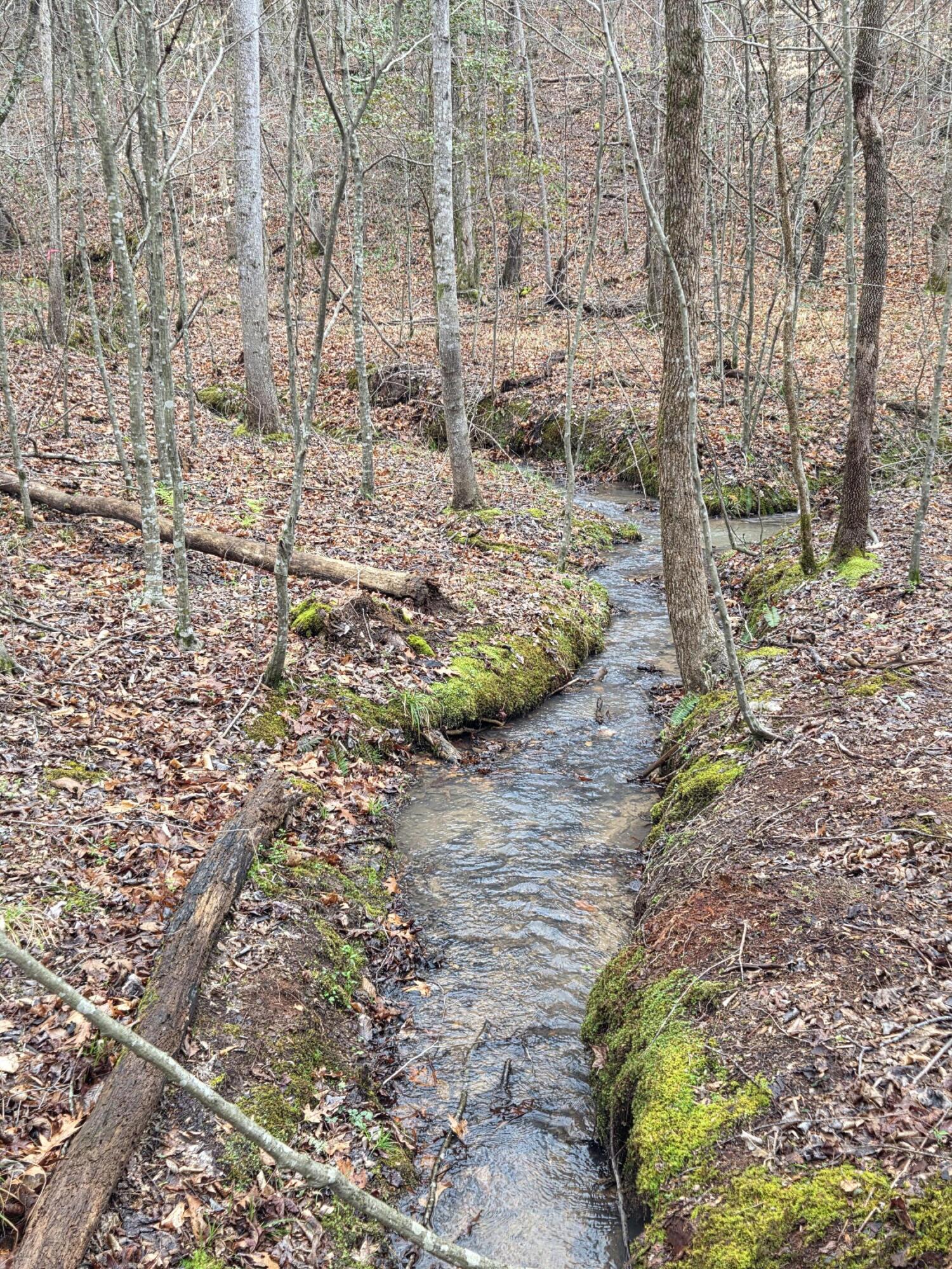 375 County Road 184 Athens, TN 37303 - Photo 24 of 25 1000021820