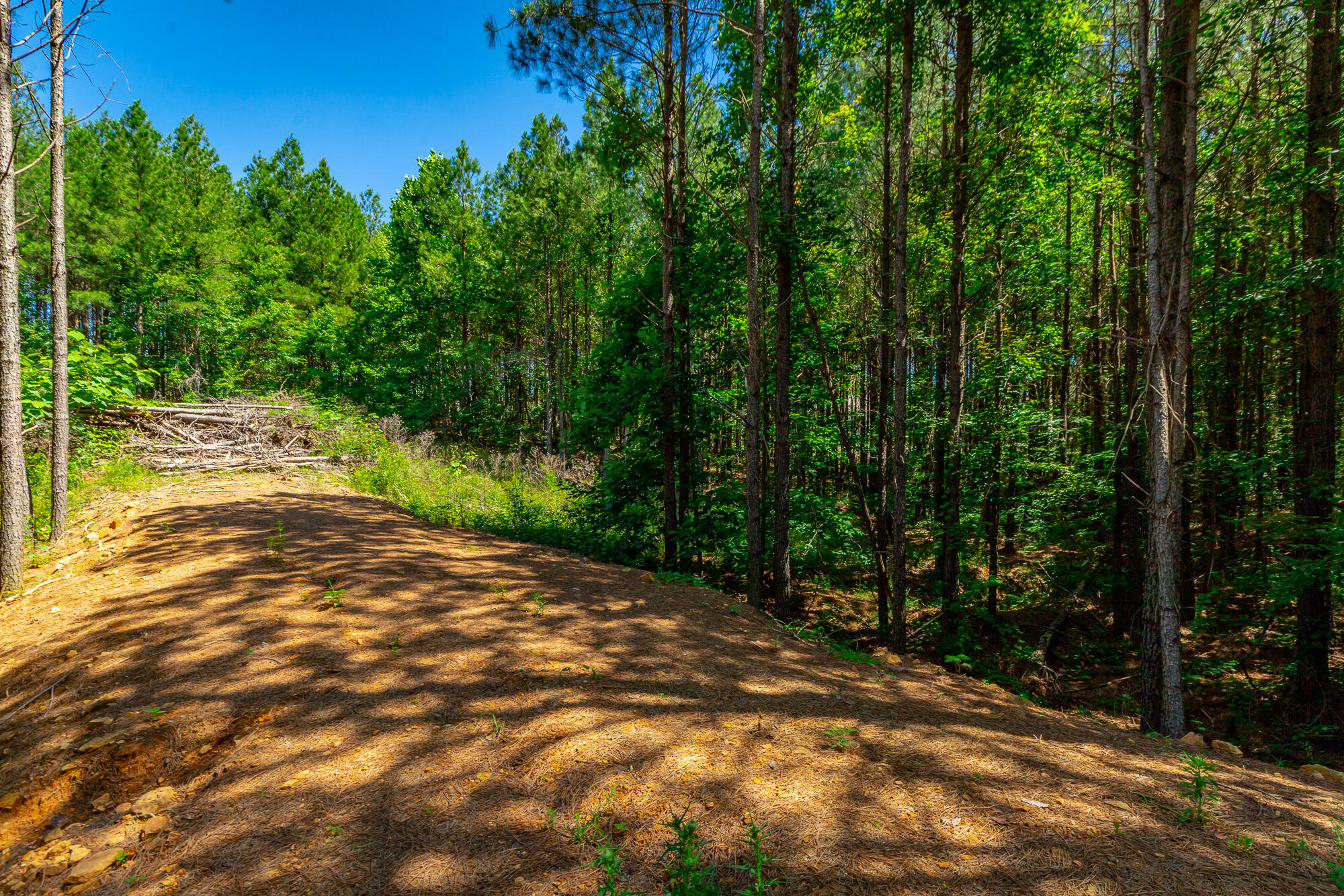 0 Split Rail Way, Unit LOT 1163 Guild, TN 37340 - Photo 7 of 118 River Gorge Lot 1163 HD-19