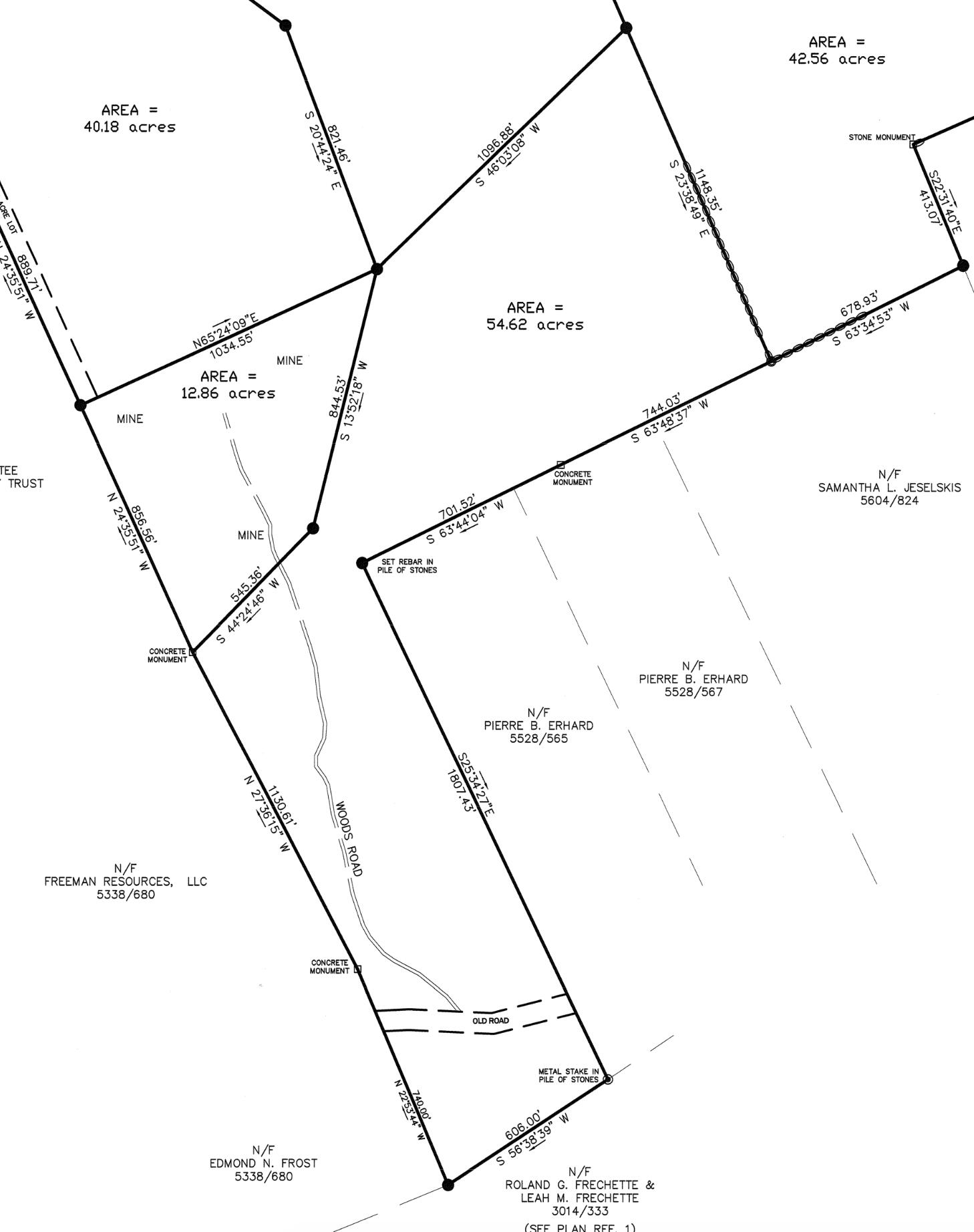 54.62 McAlister Road Buckfield, ME 04220 - Photo 20 of 80 54 Acre Lot