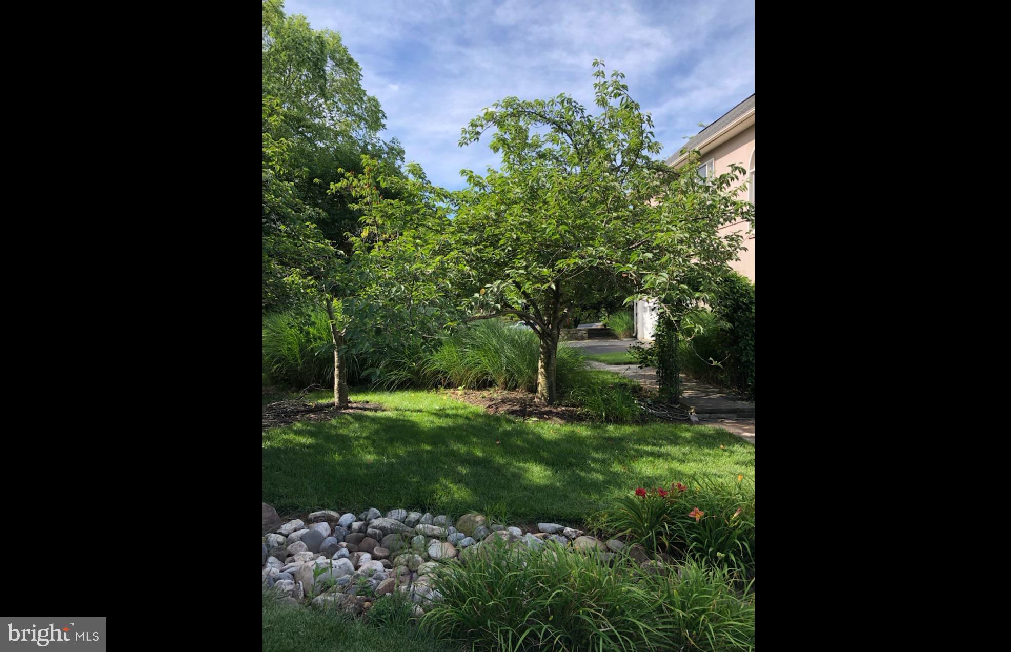 21854 Hyde Park Drive Ashburn, VA 20147 - Photo 67 of 86