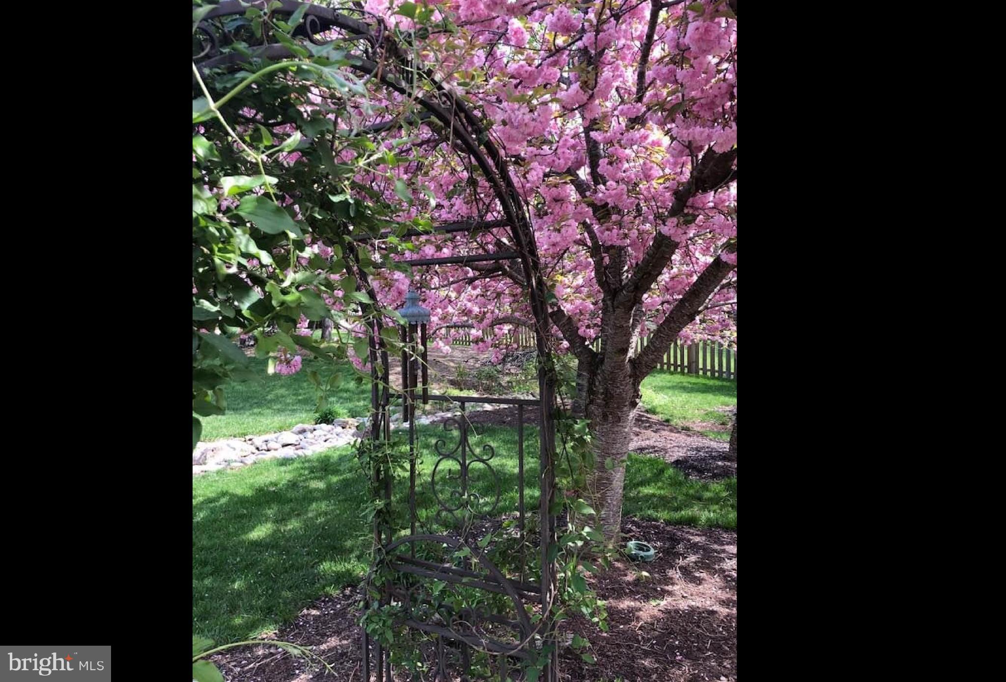 21854 Hyde Park Drive Ashburn, VA 20147 - Photo 83 of 86