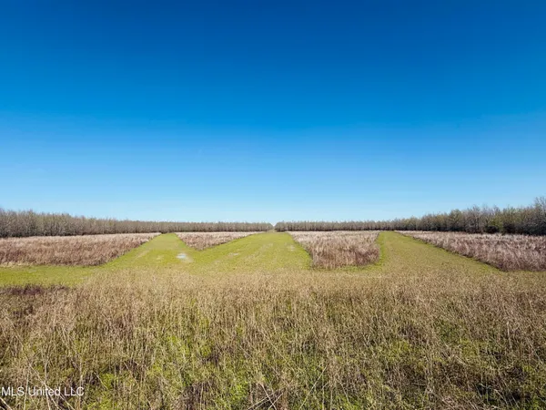 $1,050,000 | 0 Priddy Road, Rolling Fork, MS 39159