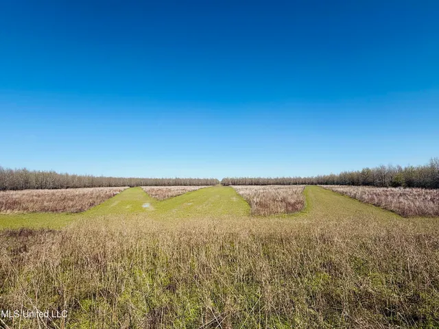 $1,150,000 | 0 Priddy Road, Rolling Fork, MS 39159