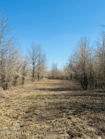 $1,050,000 | 0 Priddy Road, Rolling Fork, MS 39159