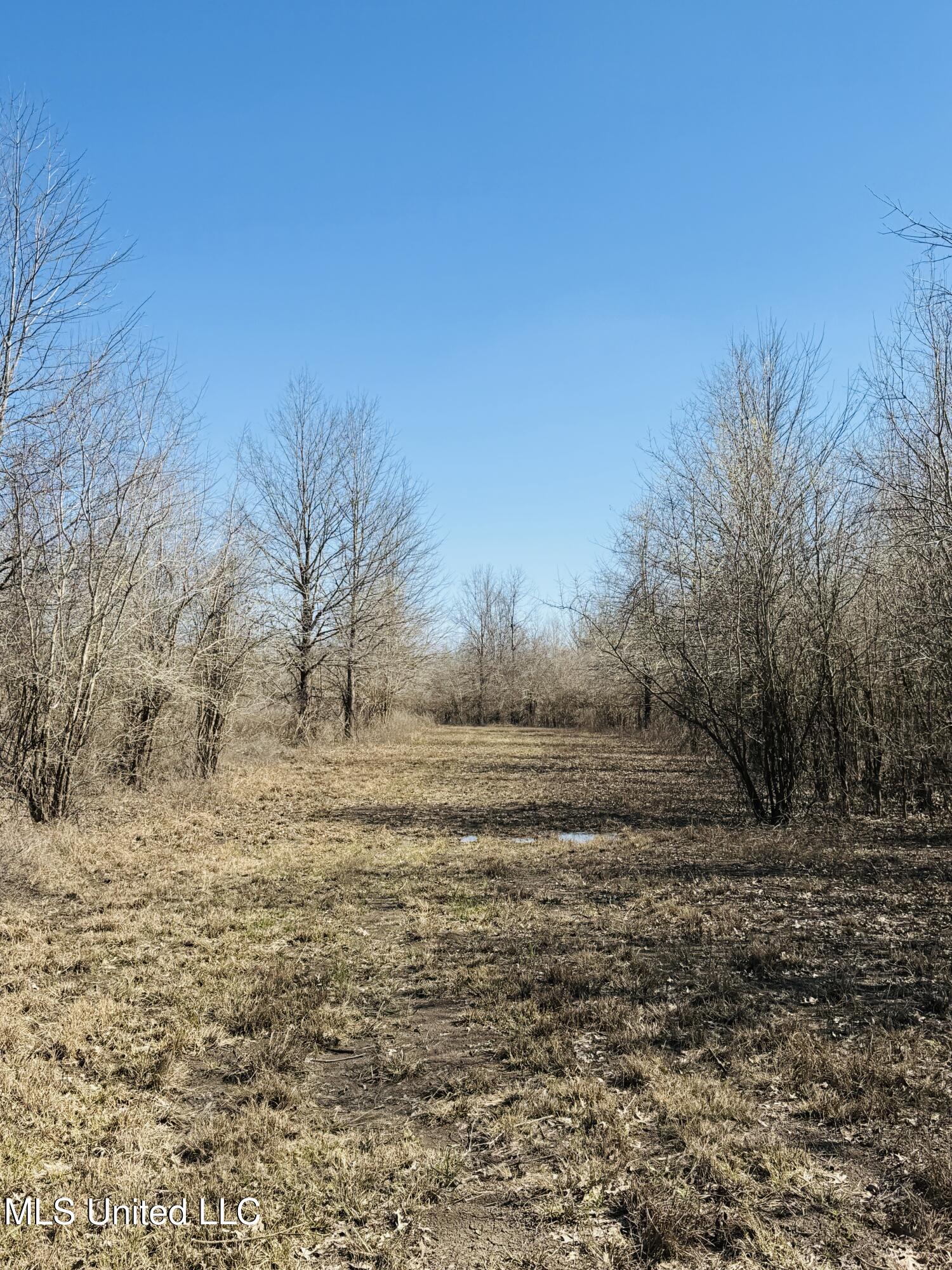 0 Priddy Road Rolling Fork, MS 39159 - Photo 11 of 56 Photo Mar 25 2025, 3 49 44 PM