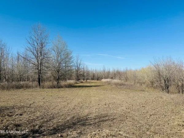 $1,050,000 | 0 Priddy Road, Rolling Fork, MS 39159