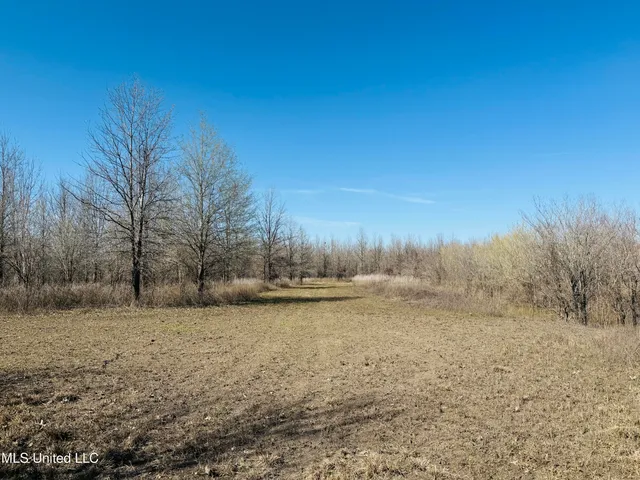 $1,150,000 | 0 Priddy Road, Rolling Fork, MS 39159