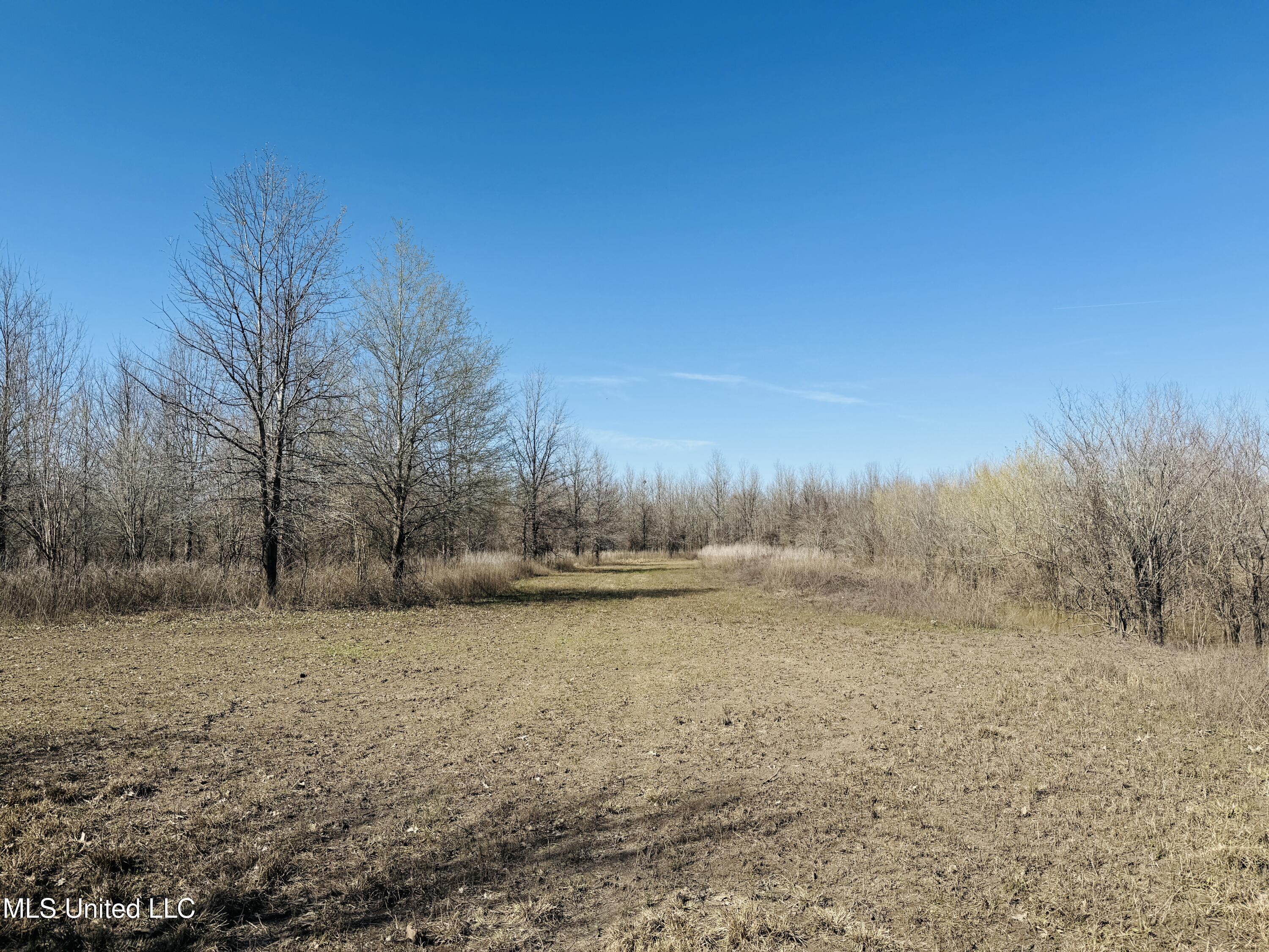 0 Priddy Road Rolling Fork, MS 39159 - Photo 12 of 56 Photo Mar 25 2025, 3 51 12 PM