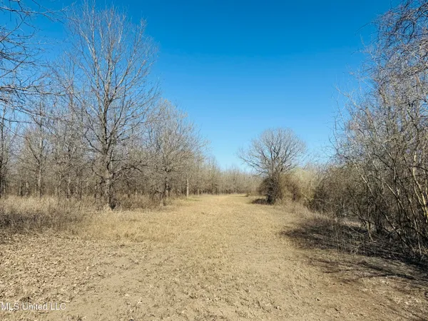 $1,050,000 | 0 Priddy Road, Rolling Fork, MS 39159