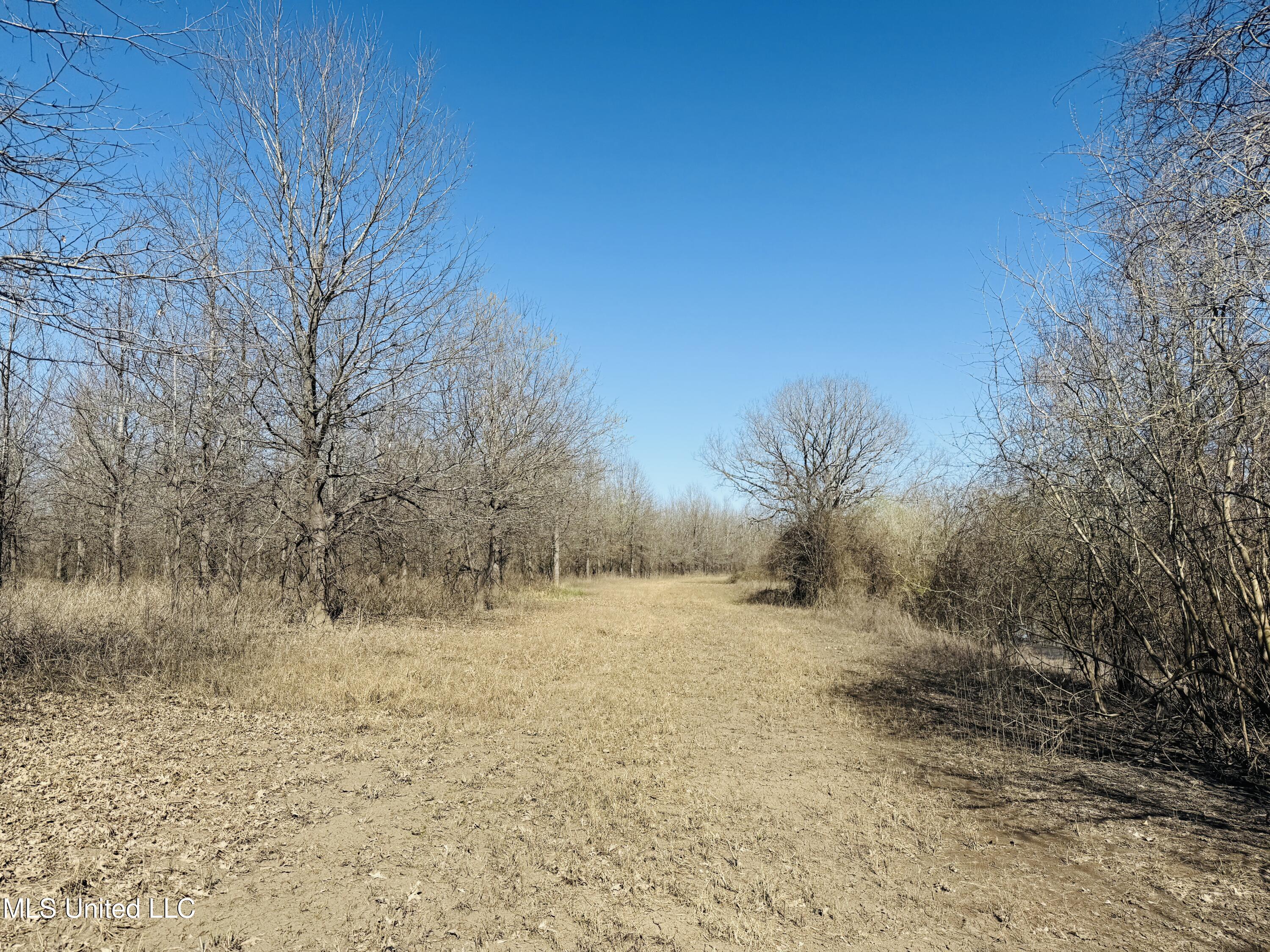 0 Priddy Road Rolling Fork, MS 39159 - Photo 13 of 56 Photo Mar 25 2025, 3 56 11 PM