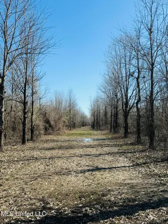 $1,050,000 | 0 Priddy Road, Rolling Fork, MS 39159