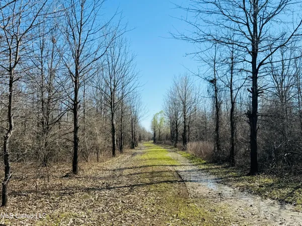 $1,050,000 | 0 Priddy Road, Rolling Fork, MS 39159