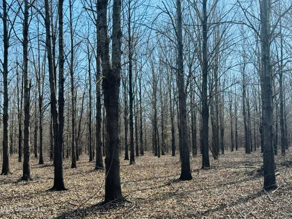 $1,050,000 | 0 Priddy Road, Rolling Fork, MS 39159