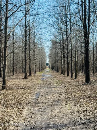 $1,050,000 | 0 Priddy Road, Rolling Fork, MS 39159