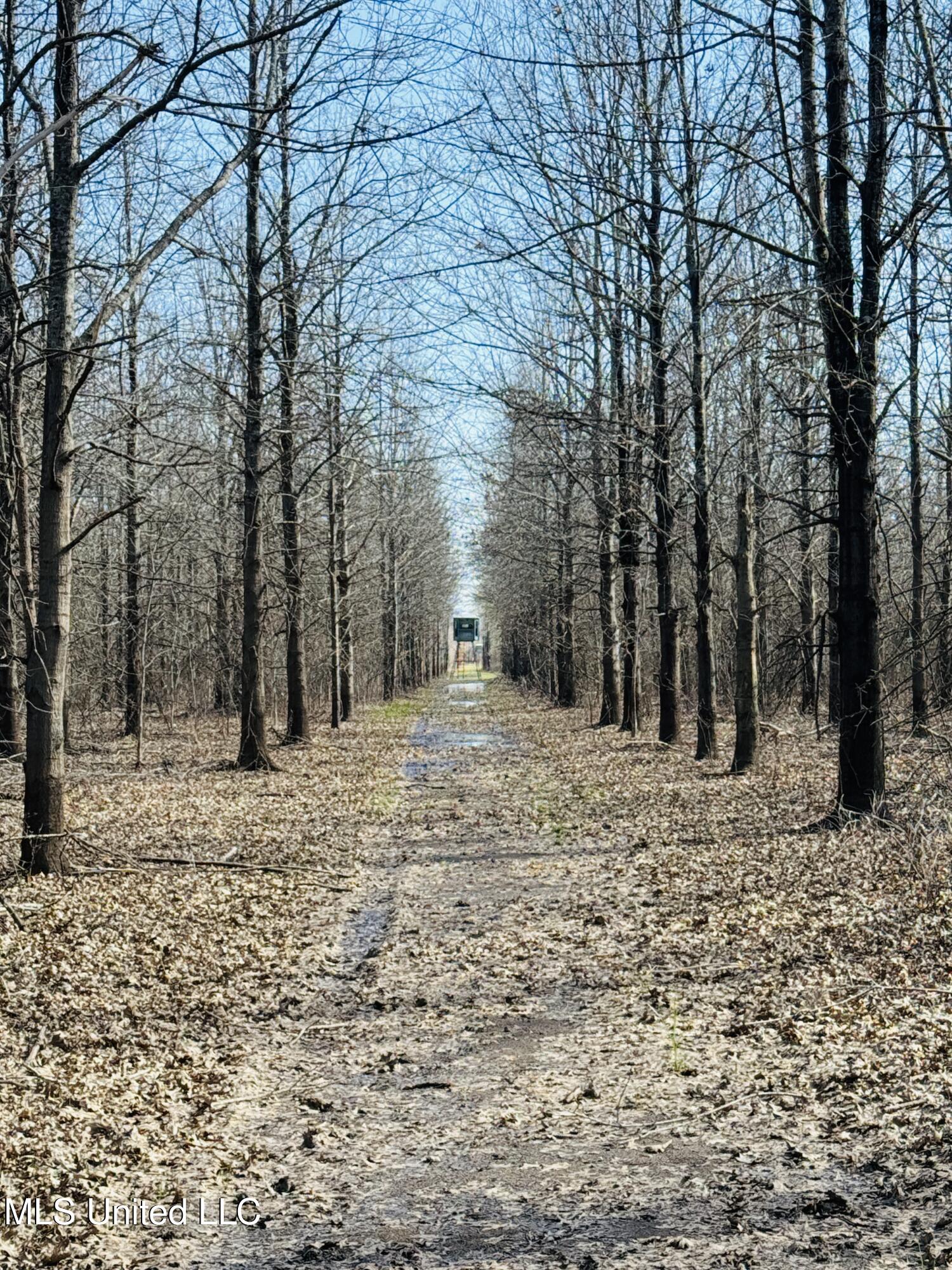 0 Priddy Road Rolling Fork, MS 39159 - Photo 19 of 56 Photo Mar 25 2025, 4 10 44 PM