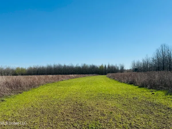 $1,050,000 | 0 Priddy Road, Rolling Fork, MS 39159