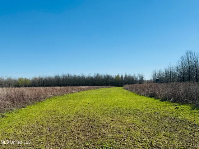 $1,150,000 | 0 Priddy Road, Rolling Fork, MS 39159